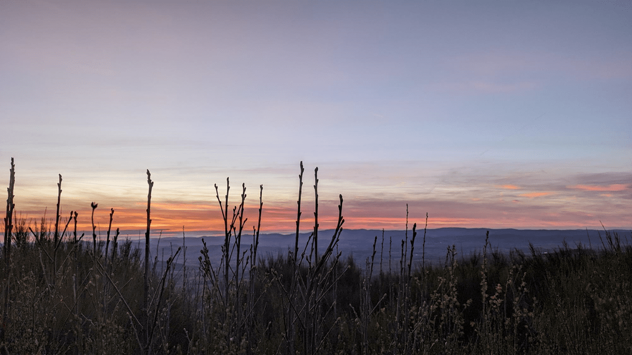 Ca me donne envie d’écouter un truc ambiance « posée, tamisée ».