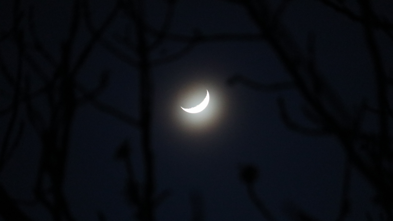 La Lune aussi s’est invitée au spectacle 🌒