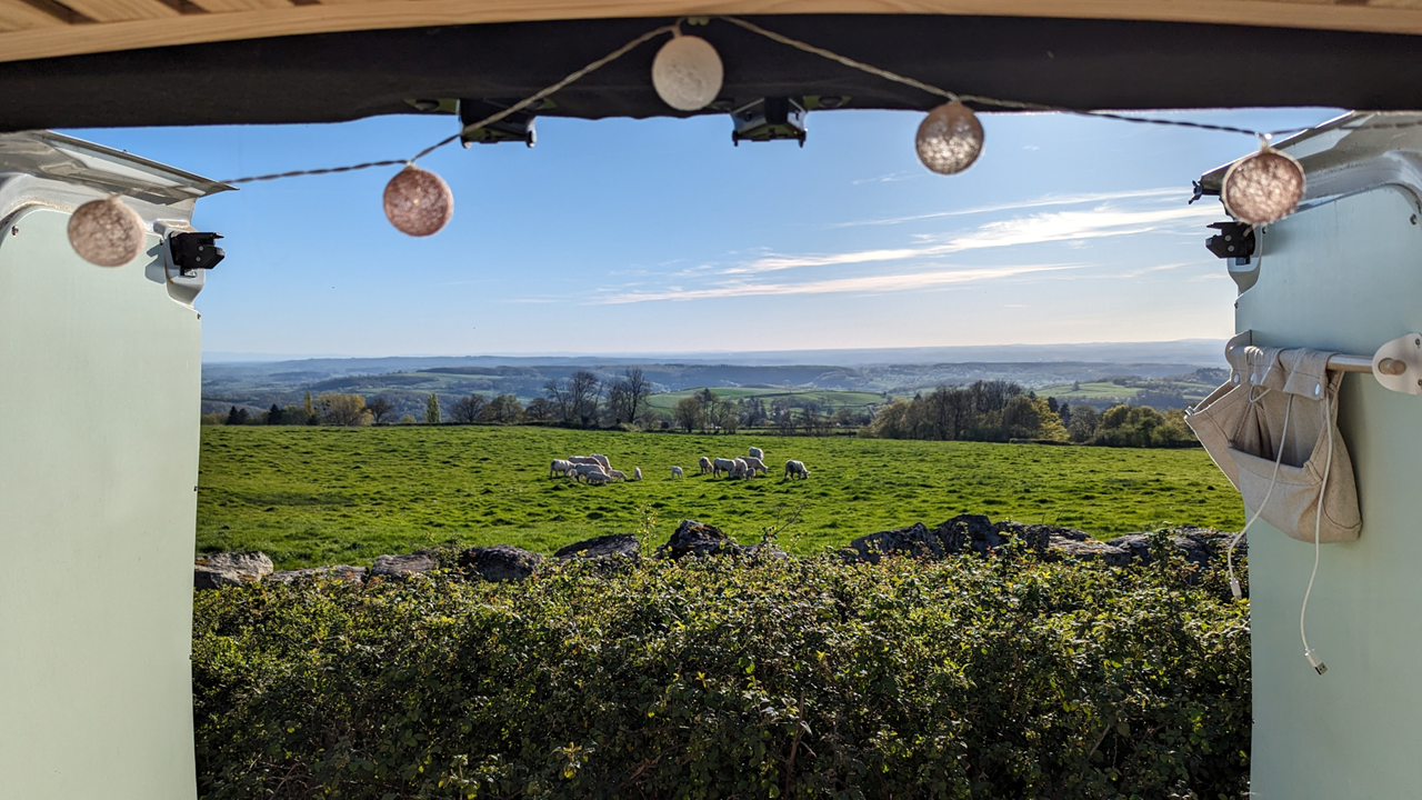 Bonjour les vaches ! 🐄