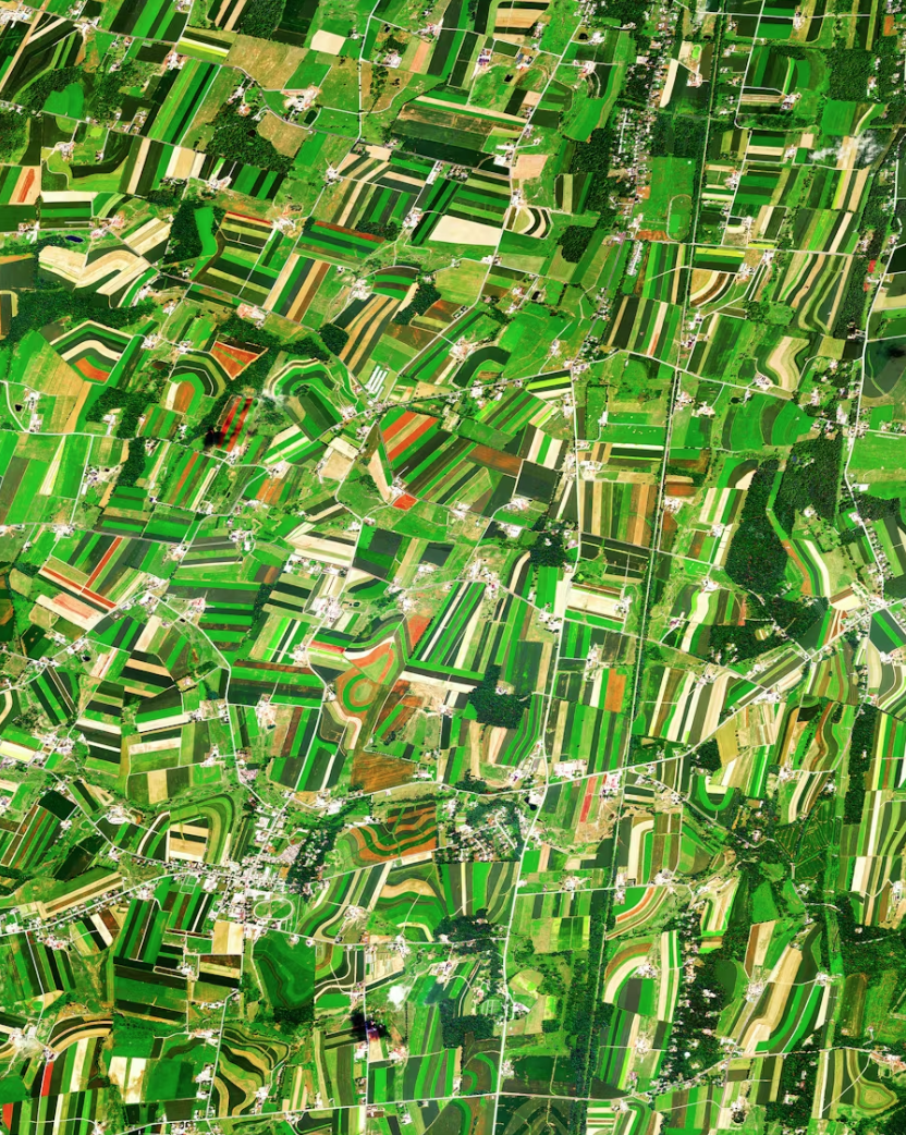 Les champs agricoles tracent les contours en pente douce du comté de Lancaster, en Pennsylvanie.