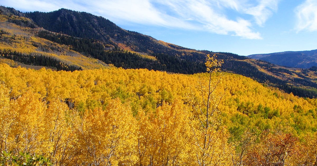 Source : NANPA - North American Photography Association