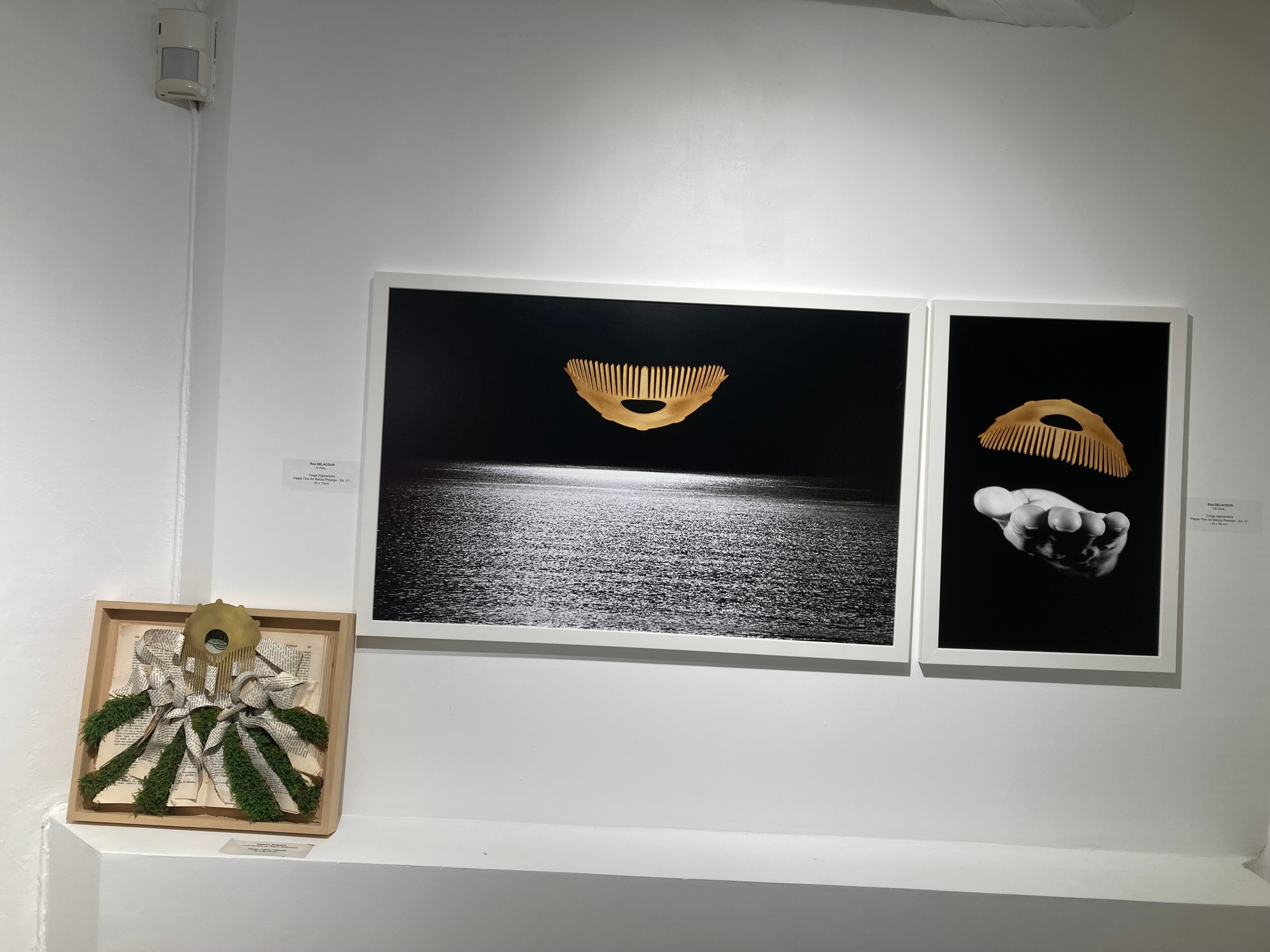 En bas à g. Livre-Mystère au peigne-Soleil par Béatrice Bissara (33/30/5 cm - 2400 euros) En ht : "Oh God" (45/30 cm - 1100 euros) et "In Fine... " par Roz Delacour (45/70 cm - 1500 euros)