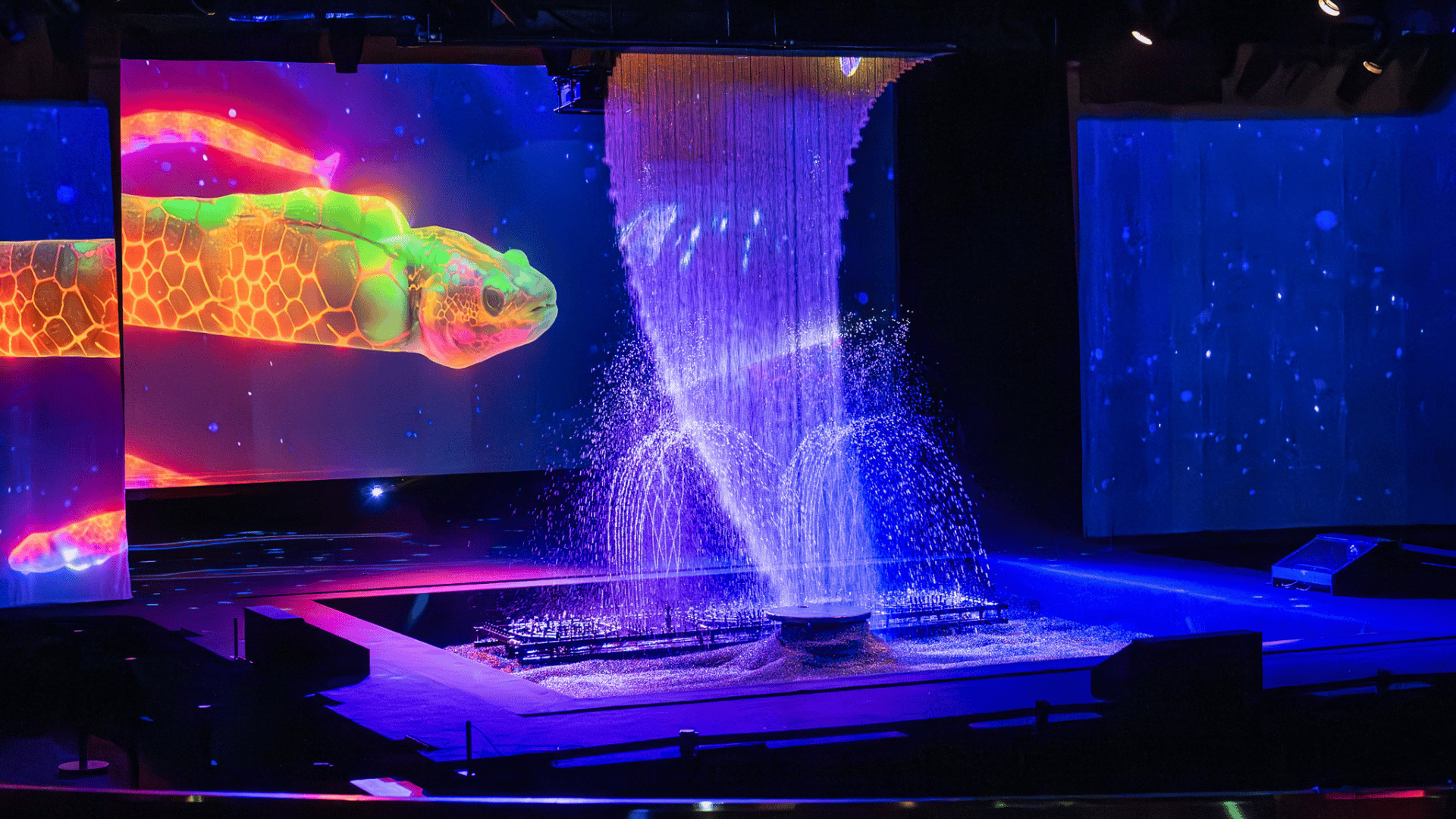 © Marcella Barbieri / Lido de Paris