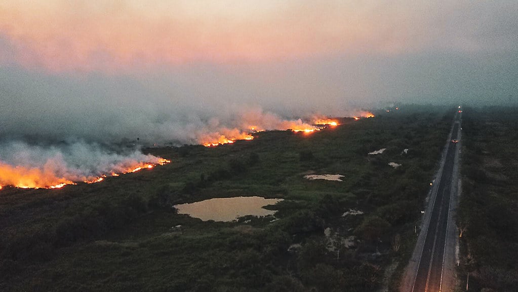 Les incendies dans la région humide du Pantanal, comme ici en 2019, deviennent de plus en plus fréquents et intenses. (Photo Chico Ribeiro)