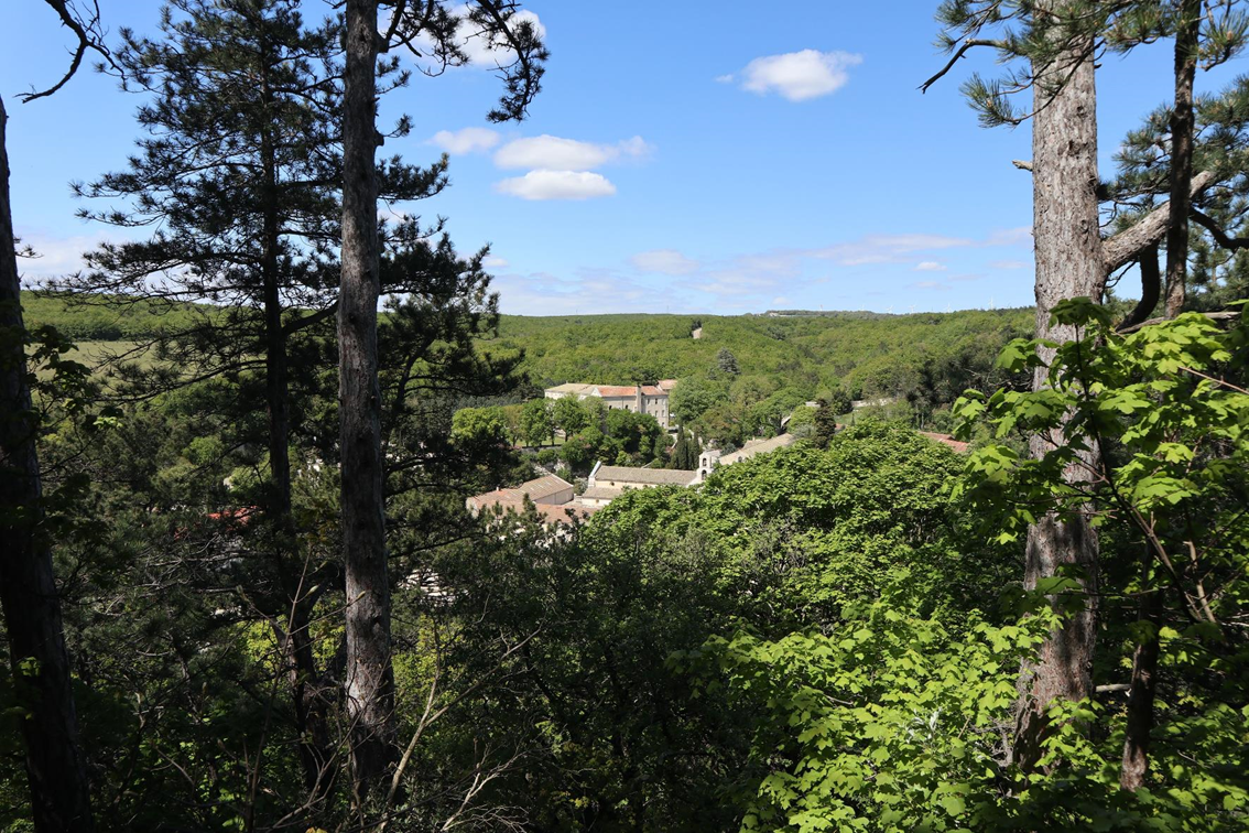 Rando improvisée autour de l'Abbaye Notre-Dame d'Aiguebelle à Montjoyer.