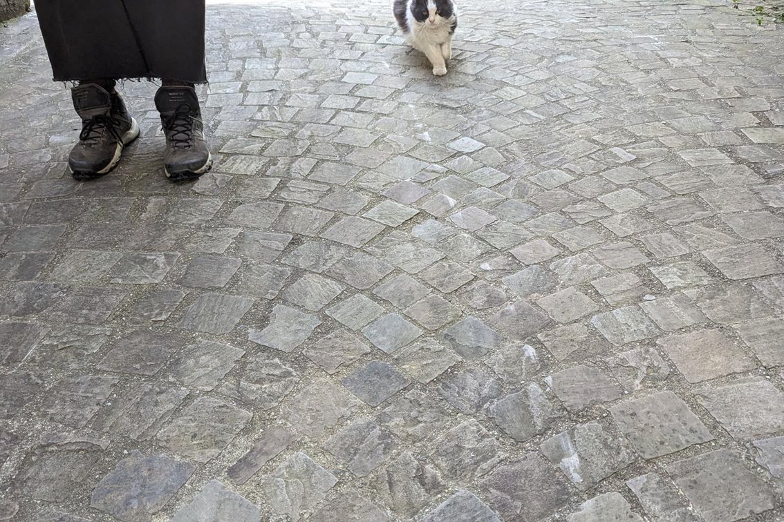 Un chat nous a guidé tout du long de notre visite. 