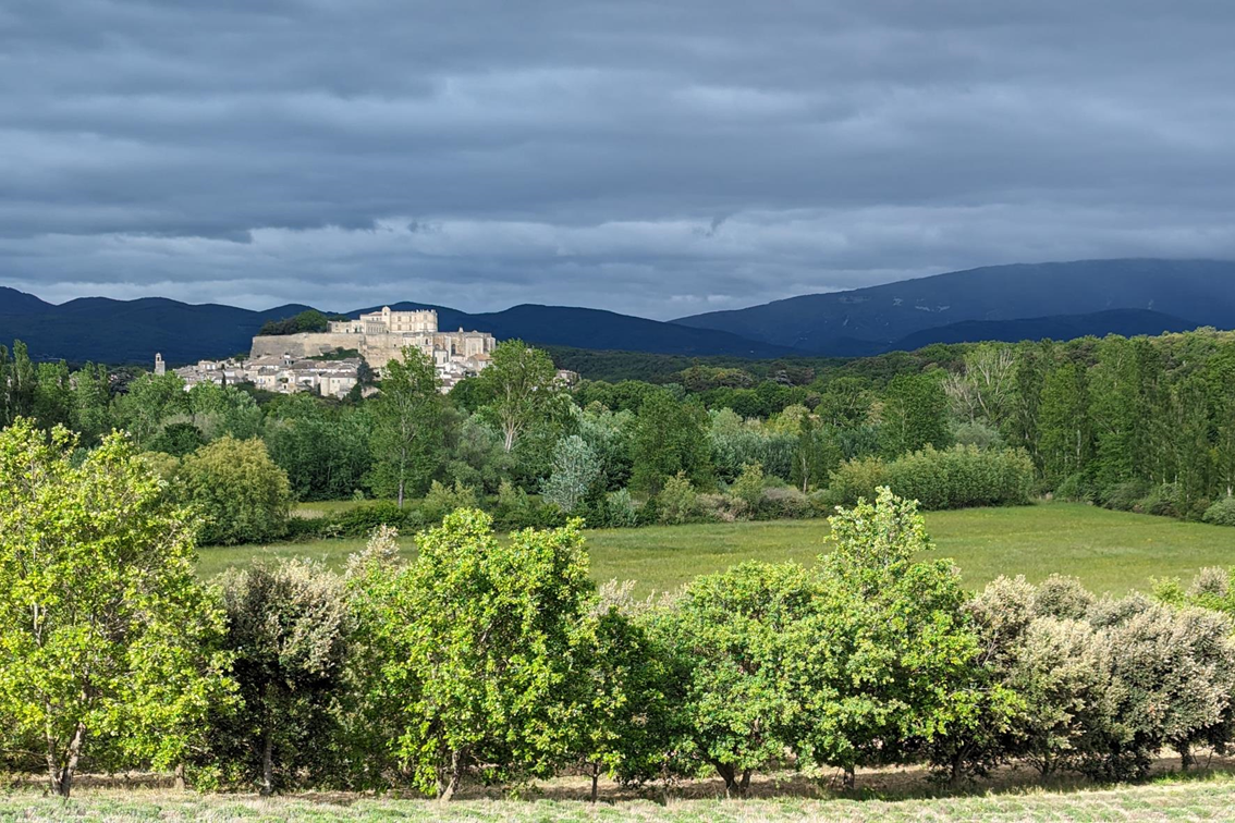 Vue sur le Grignan et son château.