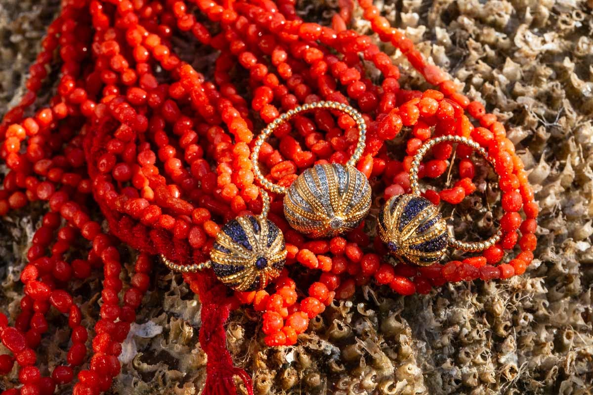 Les précieux oursins de Maria Battaglia © DR