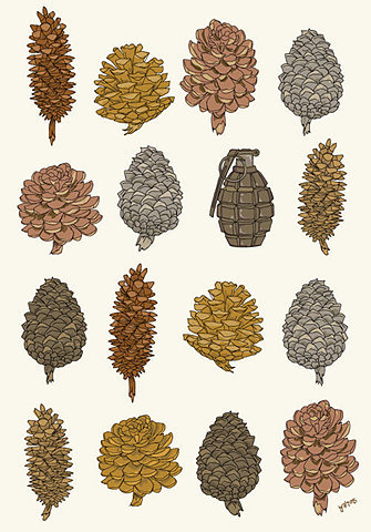 Identifier les singularités