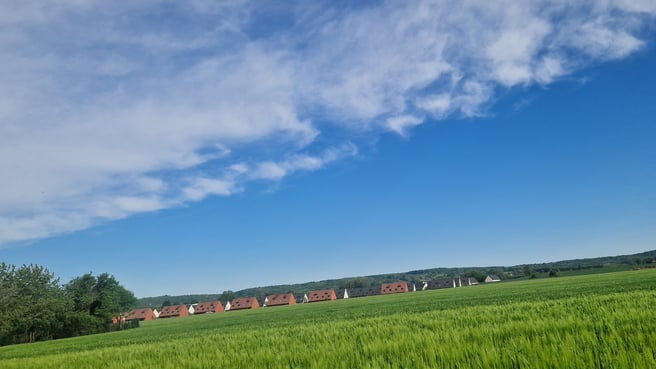 2026/05/15/a6f01e68-a2f3-42e5-9595-e6932f54a17e