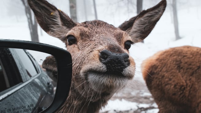 2023/04/06/bd2f74dc-1c98-4569-8795-b07fc6335312