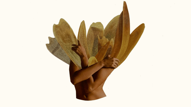 0cfadf1d-bdc5-4b00-b902-a473d8c52ded.png