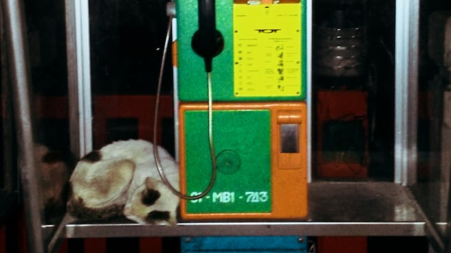 2026/03/05/4ecc2af8-4225-4ebc-b588-851d42e3bcd0