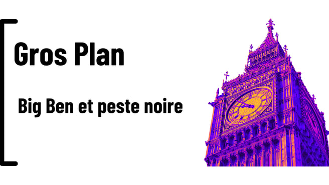 2026/05/21/f0323312-5758-477e-bd01-1e8390679bb8