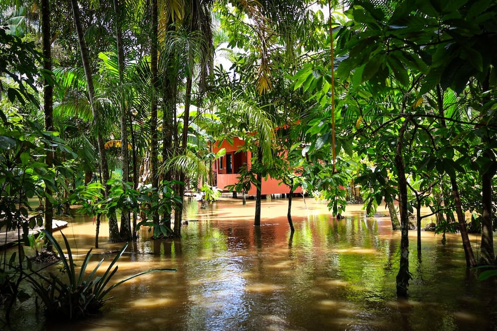 La plantation autour de la maison de Dona Nena, la conjonction de la pleine lune et de la saison des pluies provoquent une fois par an une montée des eaux (c) Dany Neves pour Station Amazonie