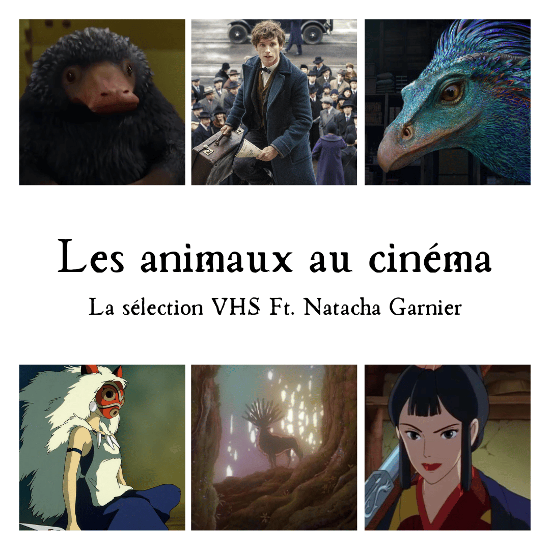 Disponible sur les réseaux sociaux