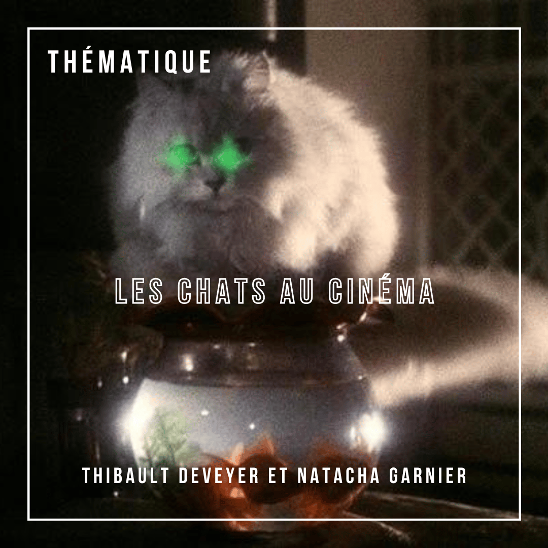 Disponible sur le site internet et les plateformes d'écoute associées