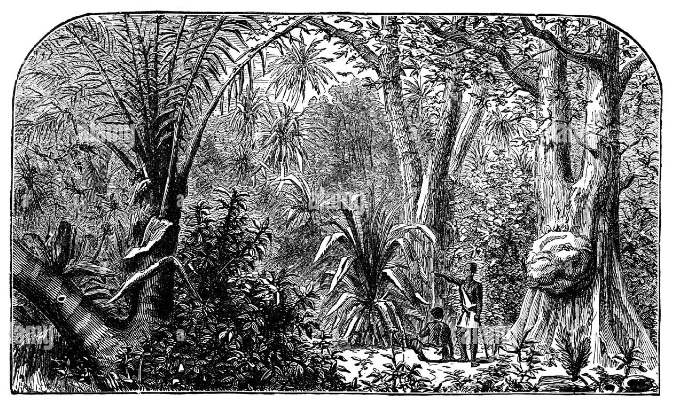 Gravure du 19ème, anonyme