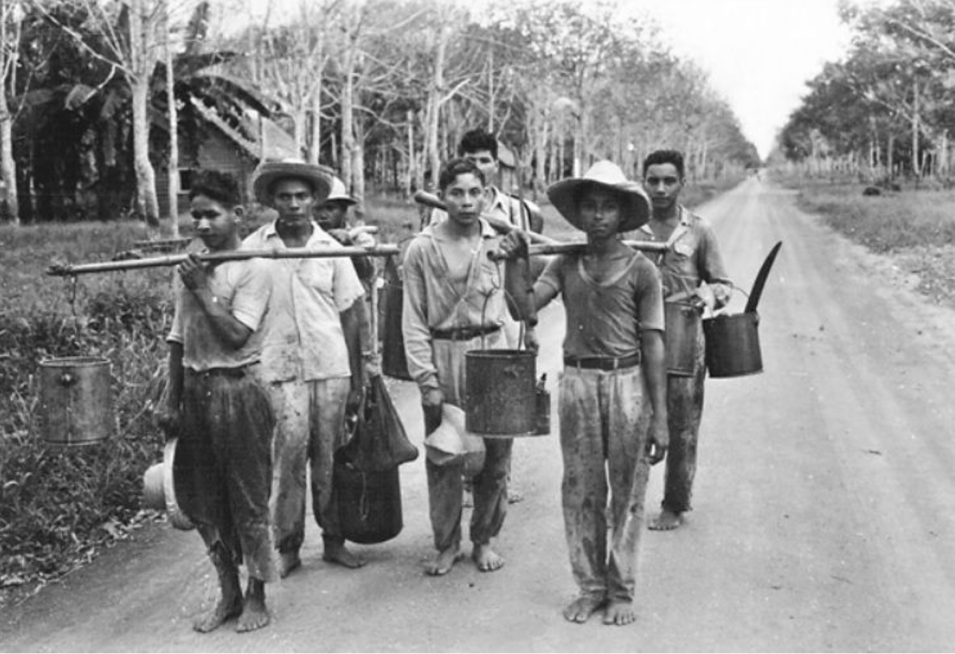 Jeunes "serringueiros", des collecteurs de latex, au début du XXème siècle (c) IPHAN 