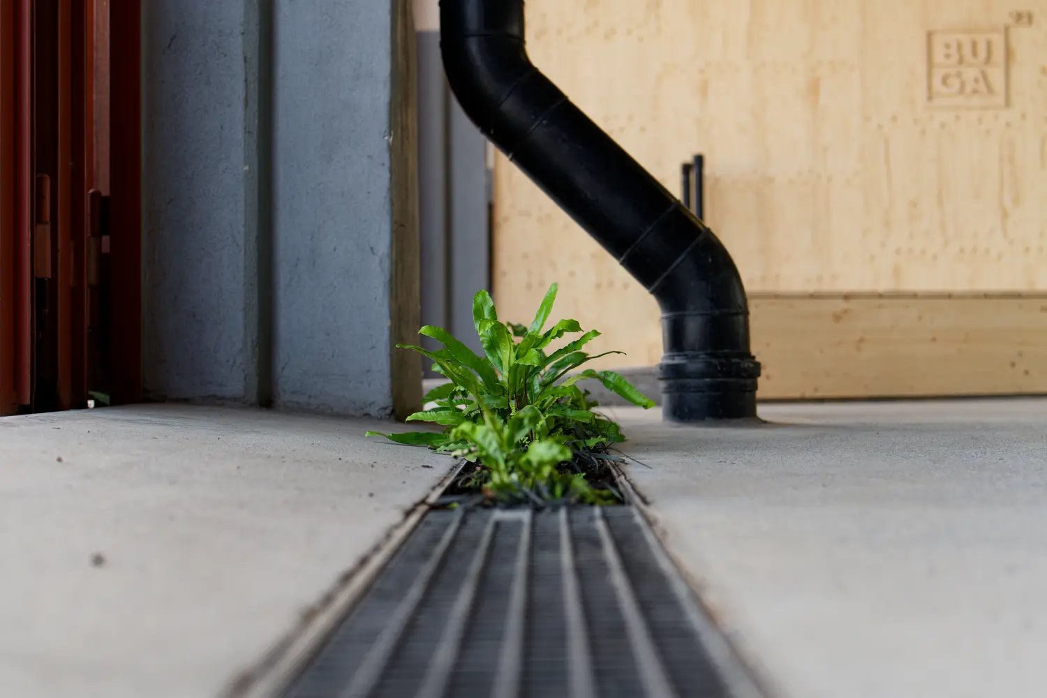 Bon à Lyon on a déjà les MIF mais quand même c’est photogénique.