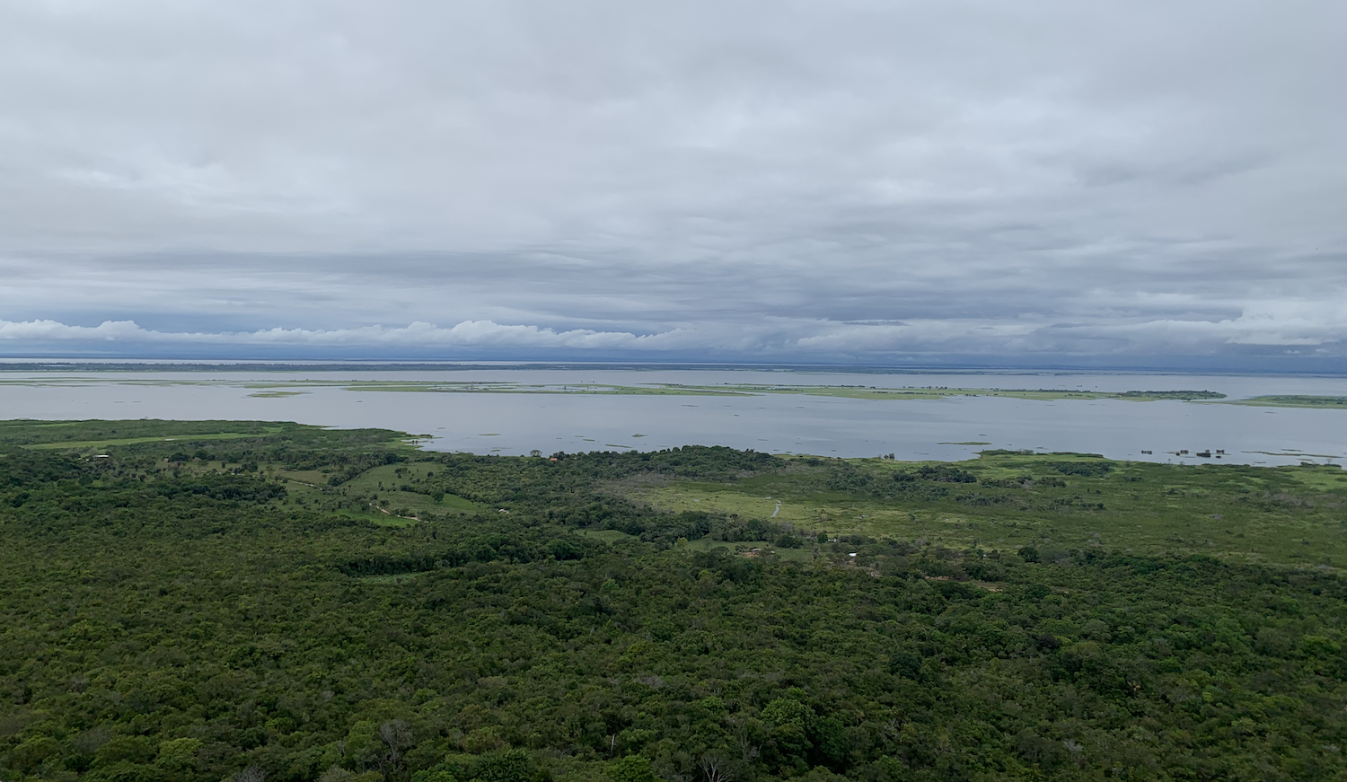 La forêt et l'Amazone, à Monte Alegre. (c) archive personnelle Hugo Kloëckner