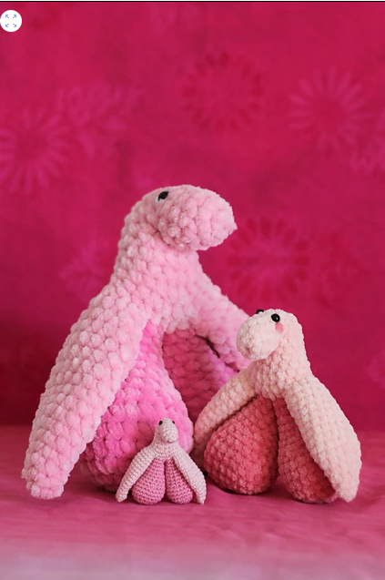 Amiguris de Kakotille Maillalenvers (1).