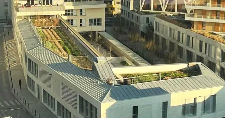 Jardin sur le toit de l’école Eva Kotchever