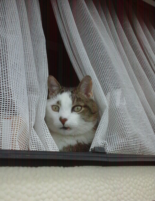 Tonguy, Montacher-Villegardin (89), 30 juillet 2017, photo AB