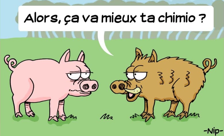 C'est de l'humour ou du cochon? 