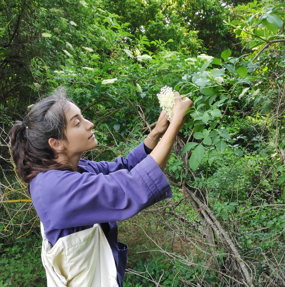 On est vite trop petit face au sureau !