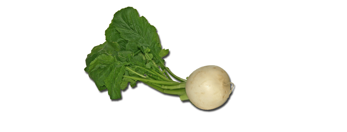 Alors que pas du tout c’est un fake depuis le début.