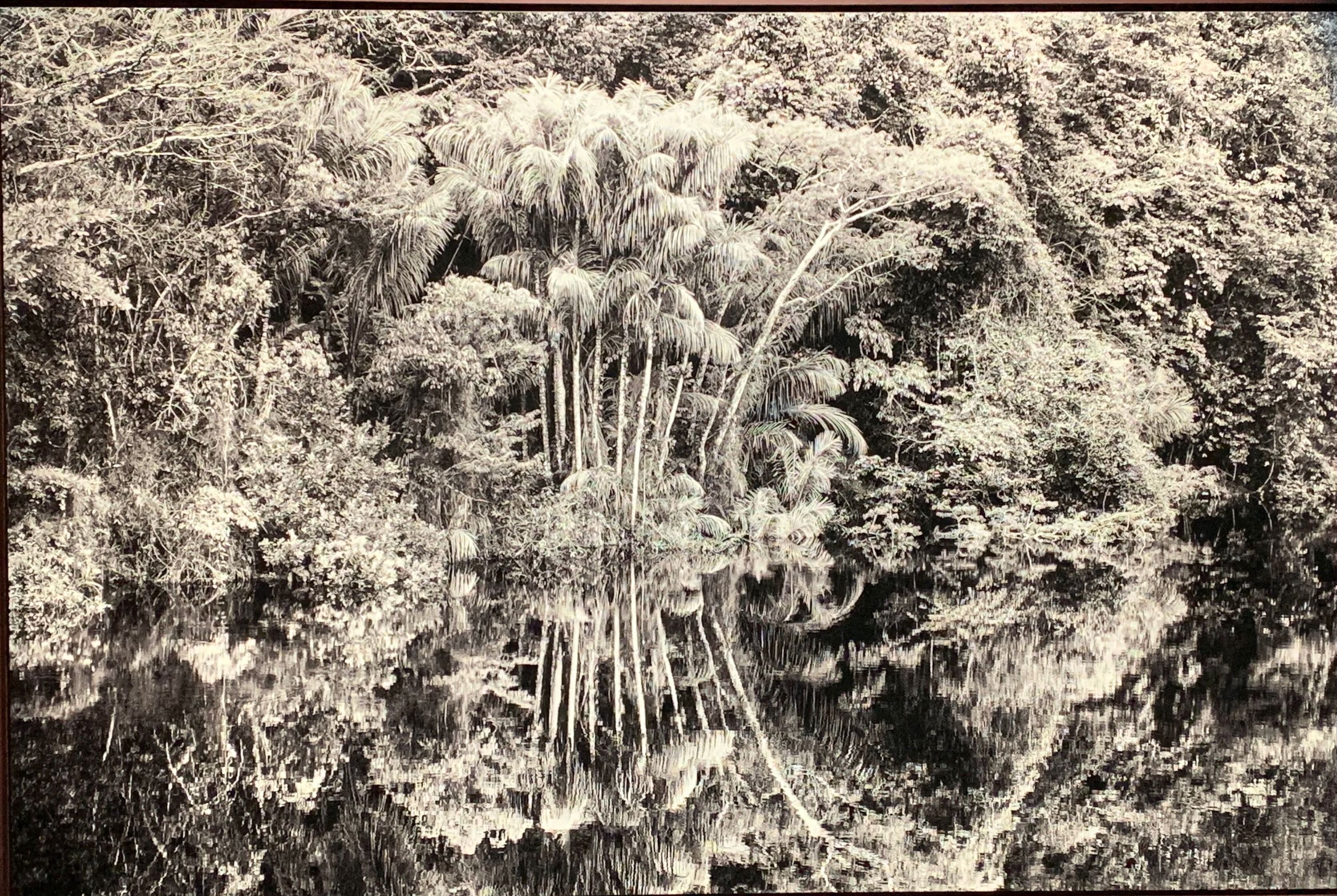 Exposition Salgadô Amazonia, photographie d'une oeuvre, août 2021