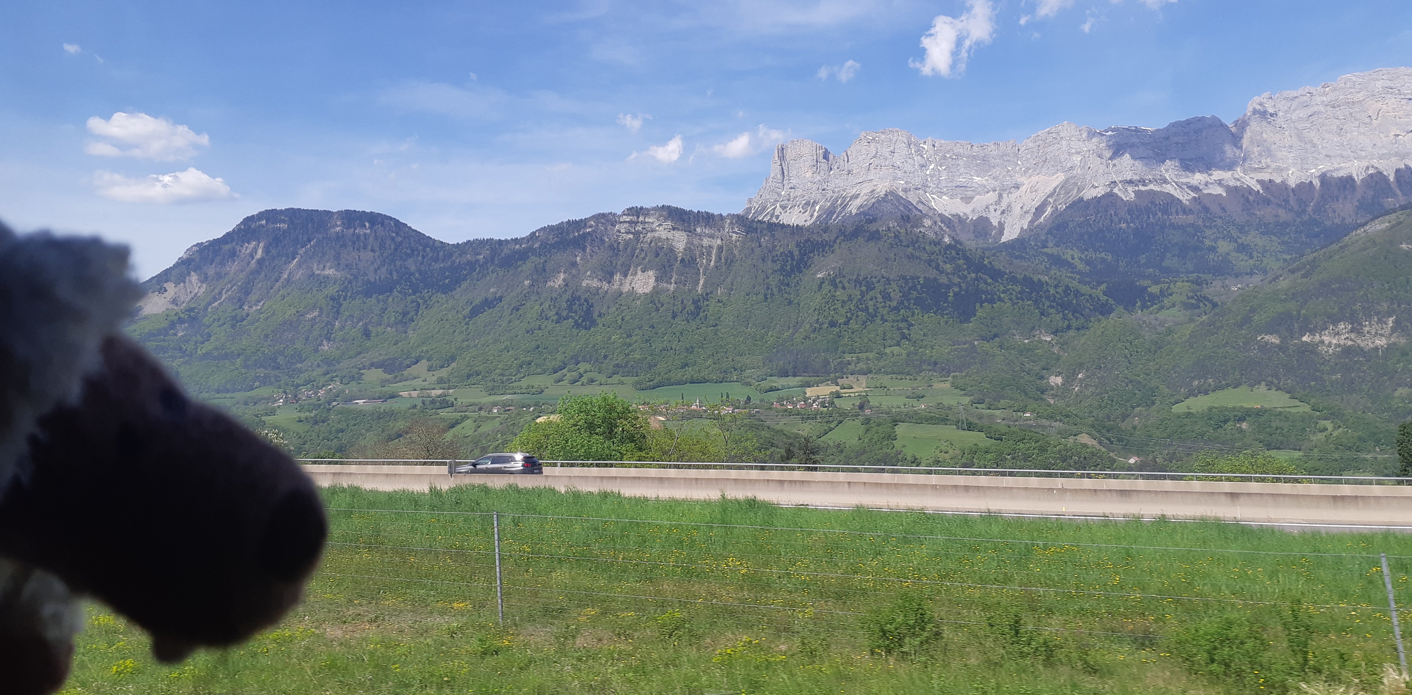 Minilus profite de la vue sur le Vercors