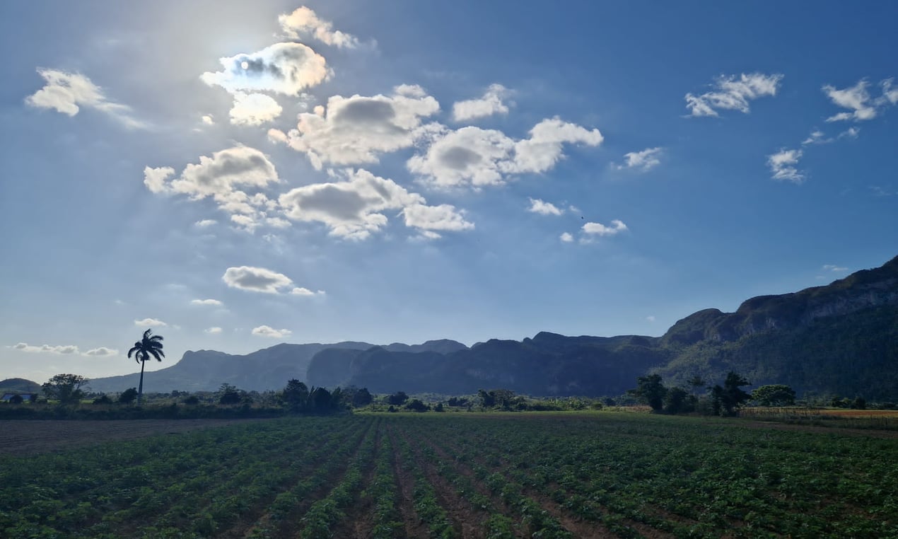 Les montagnes de Viñales