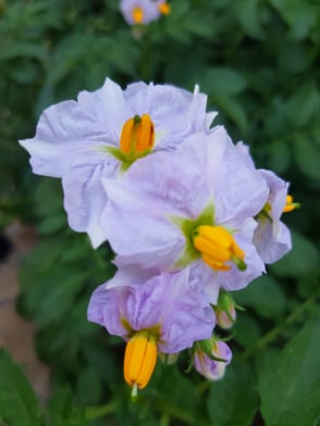 Bravoooo je suis épatée !