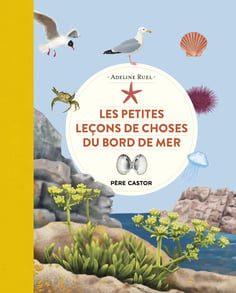 Les petites leçons de choses du bord de mer, Adeline Ruel,  Flammarion Jeunesse, 12,90€