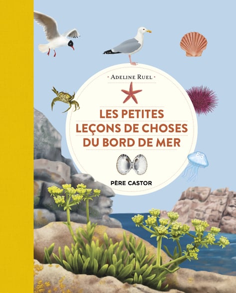 Les petites leçons de choses du bord de mer, Adeline Ruel,  Flammarion Jeunesse, 12,90€