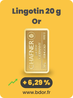 Lingotin 20 g Or