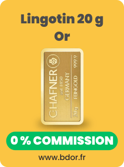 Lingotin Or 20 Grammes Gold