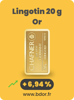 Lingotin 20 g Or Gold