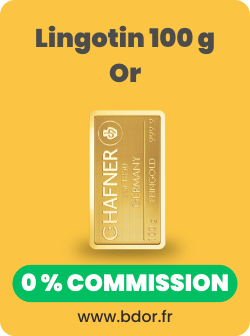 Lingotin 100g Or Gold