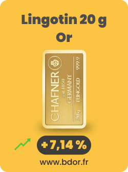 Lingotin 20g Or Gold