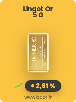 Lingotin Or 5 Grammes Gold