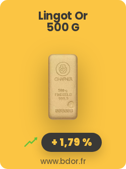 Lingot Or 500 Grammes Gold