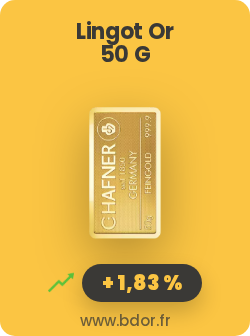  Lingotin Or 50 Grammes Gold