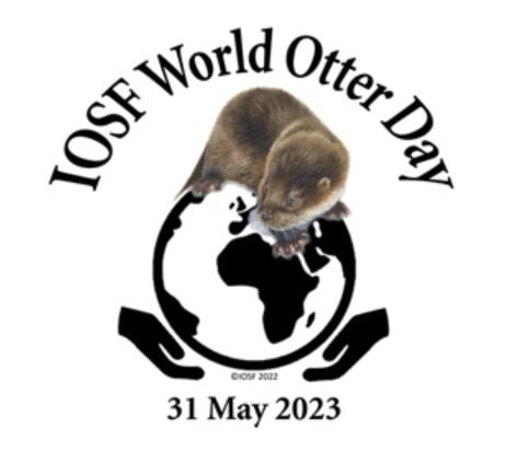 Je te conseille de checker #JournéeMondialeDeLaLoutre & #OtterDay pour trouver d'autres infos & photos !