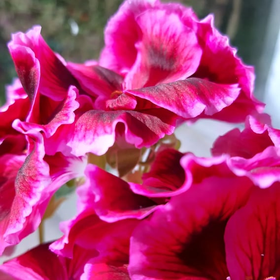 Image d'illustration - DR - Mai 2023