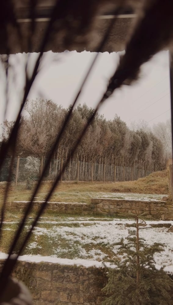 Dans un endroit au plus proche de la nature ♡