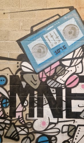 Entrée Radio MNE