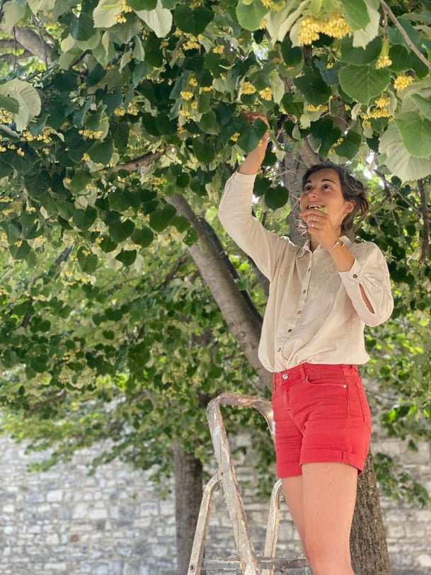 Toujours se balader avec un escabeau, au cas où...